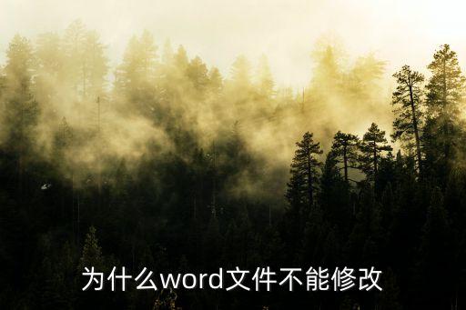 為什么word文件不能修改