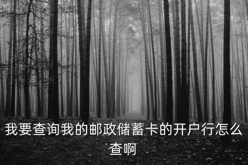我要查詢我的郵政儲蓄卡的開戶行怎么查啊