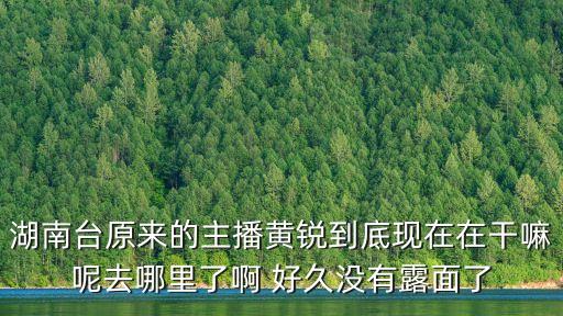 湖南臺原來的主播黃銳到底現(xiàn)在在干嘛呢去哪里了啊 好久沒有露面了