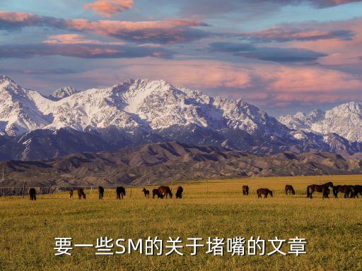 要一些SM的關(guān)于堵嘴的文章