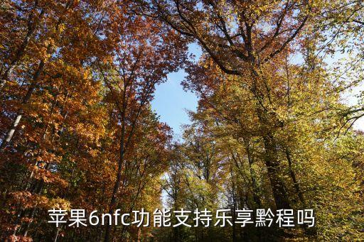 蘋(píng)果6nfc功能支持樂(lè)享黔程嗎