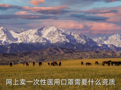 淘寶賣口罩，請問淘寶有賣百世盾牌PM25口罩嗎