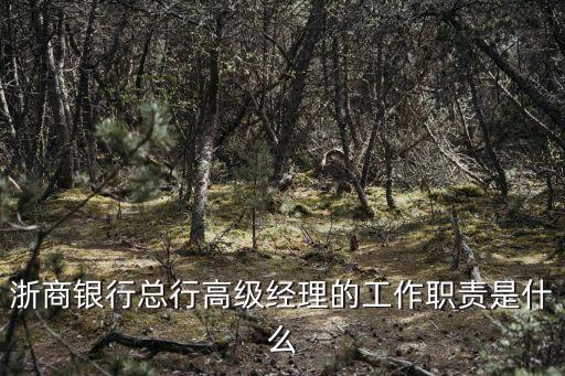 高級經(jīng)理，渤海銀行總行高級經(jīng)理級別待遇