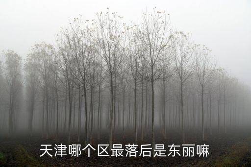 天津哪個區(qū)最落后是東麗嘛