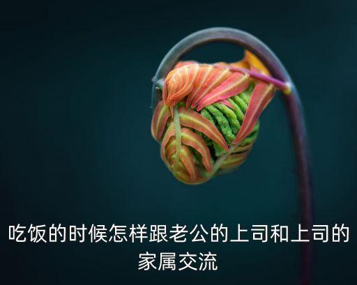 吃飯的時(shí)候怎樣跟老公的上司和上司的家屬交流