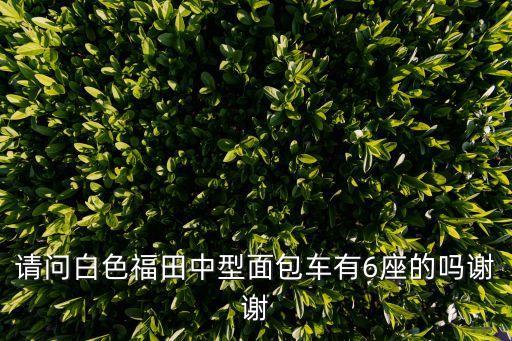 請問白色福田中型面包車有6座的嗎謝謝