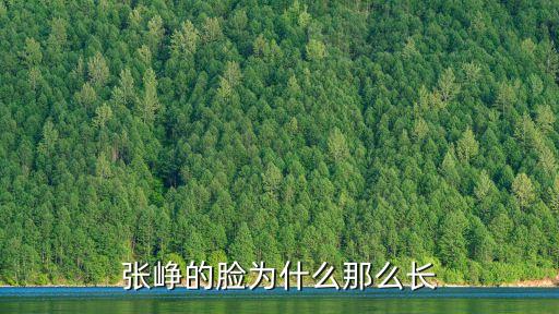 張崢，張崢的臉為什么那么長