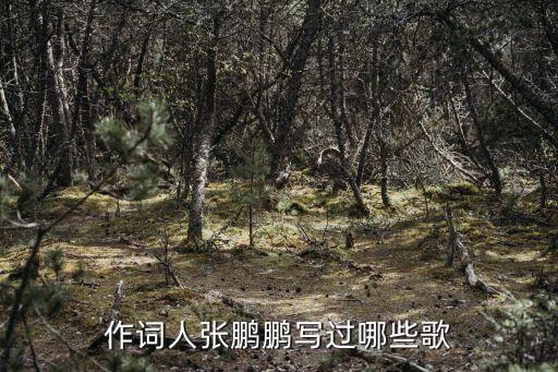 作詞人張鵬鵬寫過哪些歌