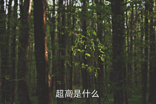 超高是什么