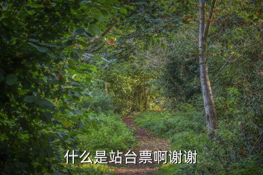 站臺(tái)票，什么叫站臺(tái)票詳細(xì)