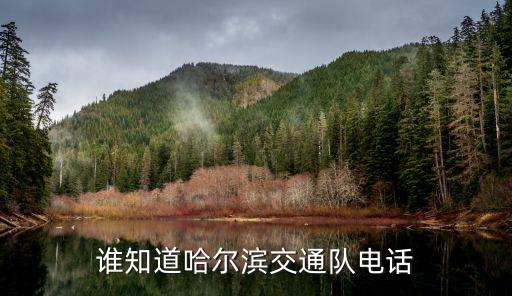 交通隊(duì)，交通隊(duì)和交通支隊(duì)有甚么區(qū)分