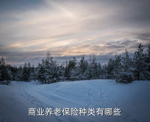 商業(yè)養(yǎng)老保險種類有哪些