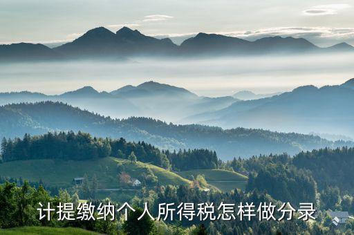 計提繳納個人所得稅怎樣做分錄