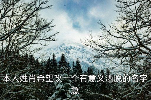本人姓肖希望改一個有意義灑脫的名字急