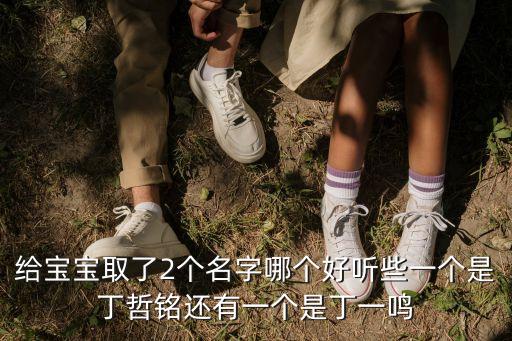 給寶寶取了2個名字哪個好聽些一個是丁哲銘還有一個是丁一鳴