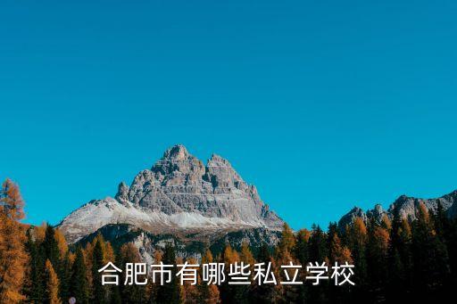 合肥私立學(xué)校排名，合肥市有哪些私立學(xué)校