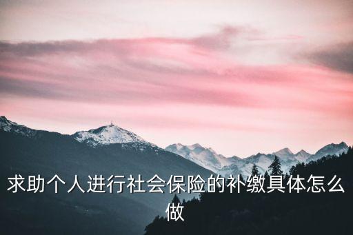 求助個人進行社會保險的補繳具體怎么做