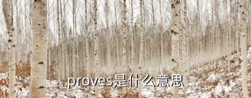 proves是什么意思