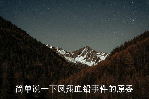 簡(jiǎn)單說一下鳳翔血鉛事件的原委
