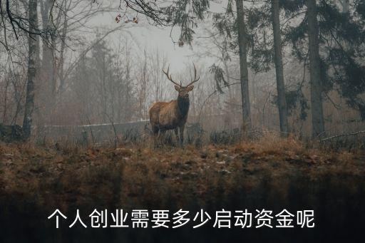 啟動(dòng)資金，啟動(dòng)資金是什么意思 說(shuō)的清楚點(diǎn) 好比什么什么的