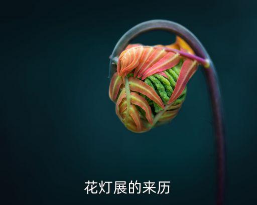花燈節(jié)的來歷，賞花燈的由來