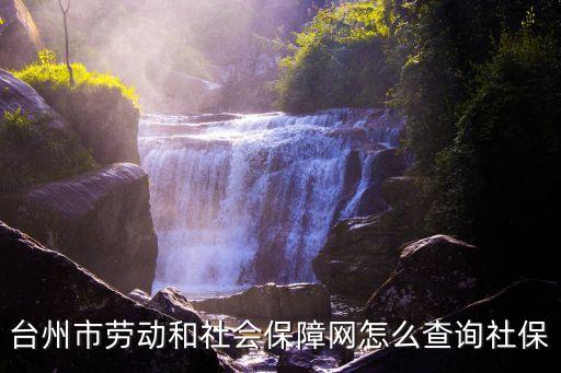 臺(tái)州市勞動(dòng)和社會(huì)保障網(wǎng)怎么查詢社保