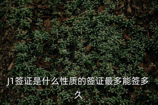 J1簽證是什么性質(zhì)的簽證最多能簽多久