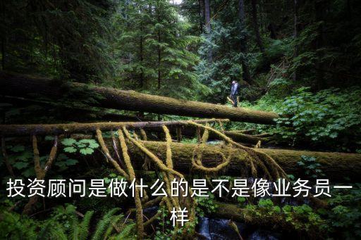 投資顧問是做什么的是不是像業(yè)務(wù)員一樣