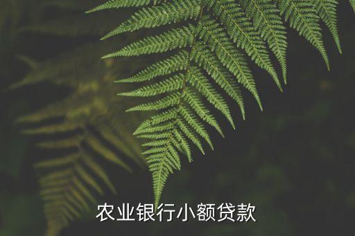 農(nóng)行小額貸款，農(nóng)業(yè)銀行小額貸款