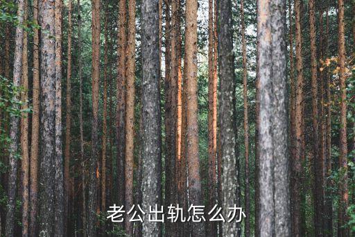 老公出軌怎么辦
