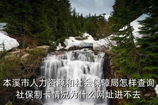 本溪市人力資源和社會(huì)保障局怎樣查詢社保制卡情況為什么網(wǎng)址進(jìn)不去
