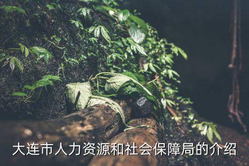 大連市人力資源和社會(huì)保障局的介紹