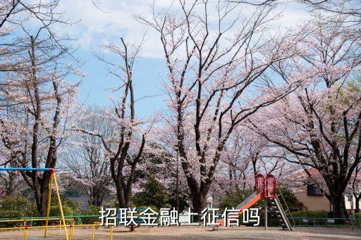 招聯(lián)金融上征信嗎