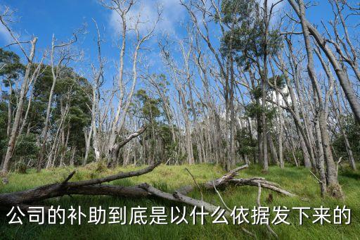 公司的補助到底是以什么依據(jù)發(fā)下來的