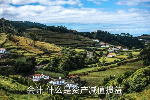 資產(chǎn)減值，什么是資產(chǎn)減記