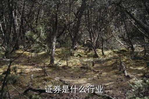 證券是什么行業(yè)，金融學證券行業(yè)是做什么的