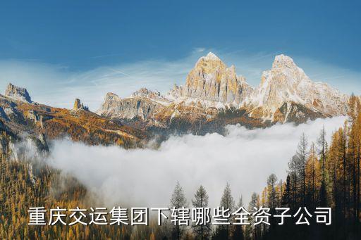 全資公司，重慶交運集團下轄哪些全資子公司