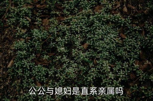 公公與媳婦，家公與媳婦是什么關(guān)系