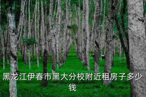 伊春租房，新疆伊寧租房