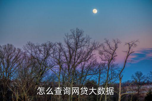網(wǎng)貸大數(shù)據(jù)，網(wǎng) 貸大數(shù)據(jù)是什么呢