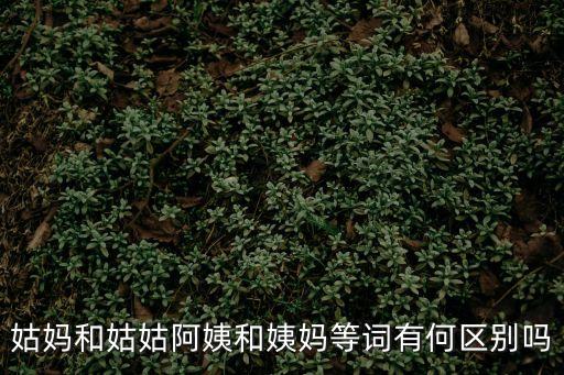 姑媽是什么關系，姑媽和姑姑阿姨和姨媽等詞有何區(qū)別嗎