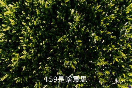159是啥意思