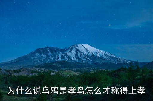 孝順的小烏鴉，孝順的小烏鴉短文第二題你想對小烏鴉說些什么