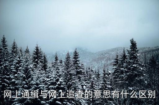 網(wǎng)上通緝與網(wǎng)上追查的意思有什么區(qū)別