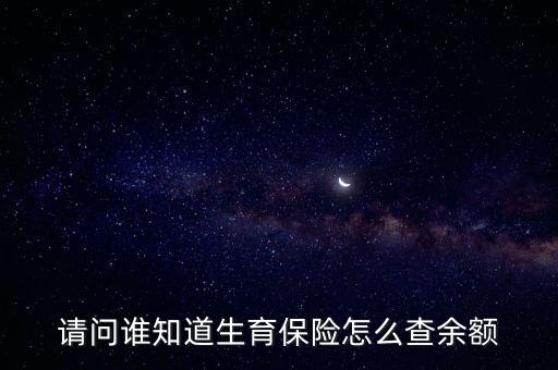 請問誰知道生育保險怎么查余額