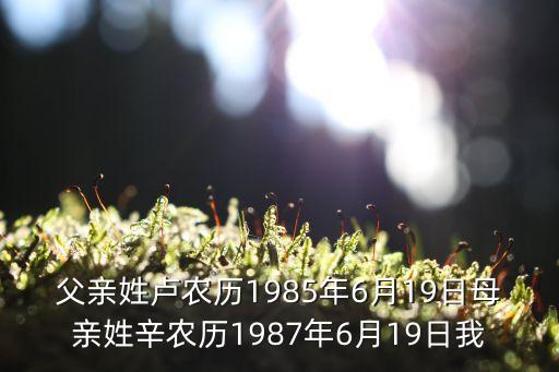 父親姓盧農(nóng)歷1985年6月19日母親姓辛農(nóng)歷1987年6月19日我