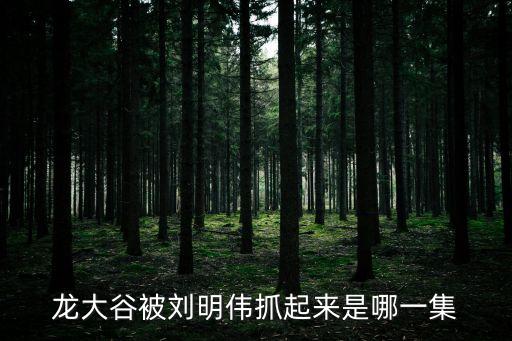 龍大谷被劉明偉抓起來是哪一集