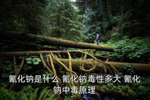 氰化鈉是什么 氰化鈉毒性多大 氰化鈉中毒原理