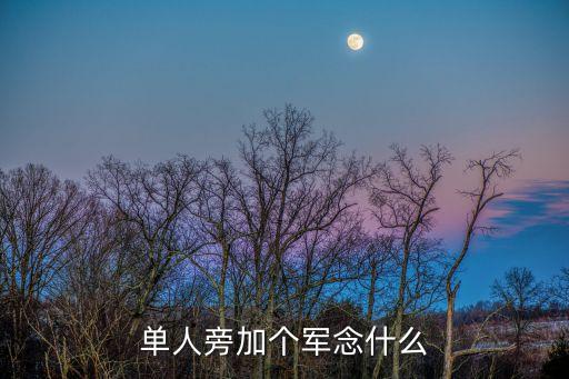 用軍，用四字詞語形容軍姿軍威如軍姿颯爽詞語里面有軍姿或軍威這兩