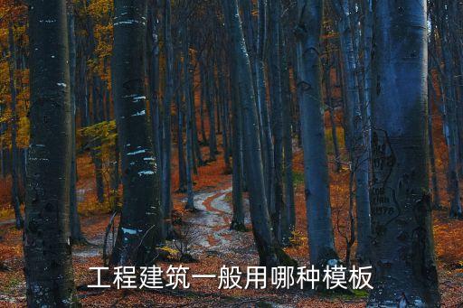 工地模板，工程建筑一般用哪種模板